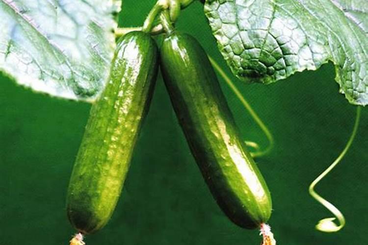 补钾输液浓度怎么计算？