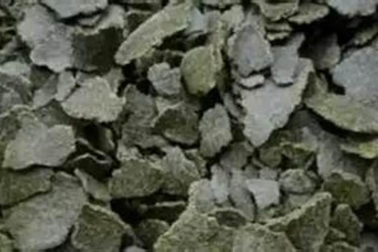 马铃薯高产栽培技术要点