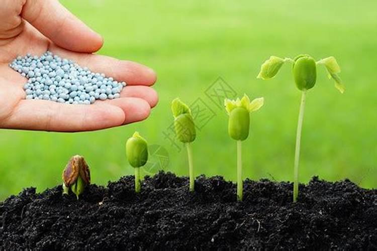 复合肥直接撒在土面上可以吗