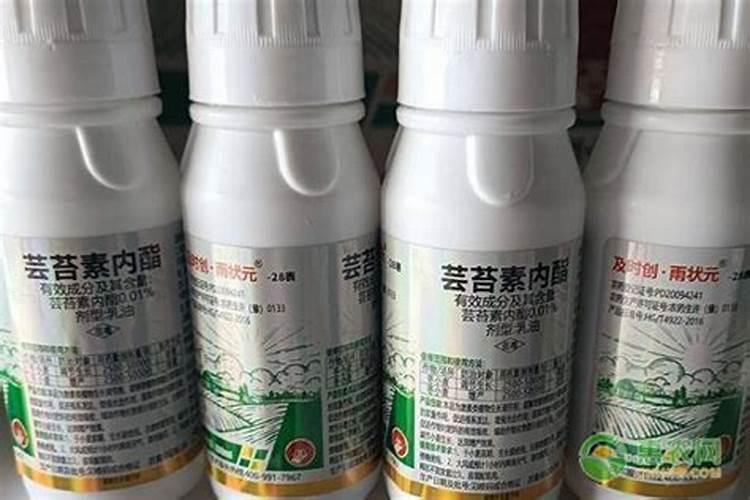 斑鱼有哪些独特的营养价值？