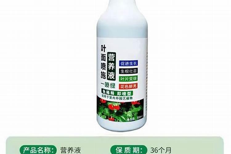 摩登农夫电视剧在那个网站可以先看完