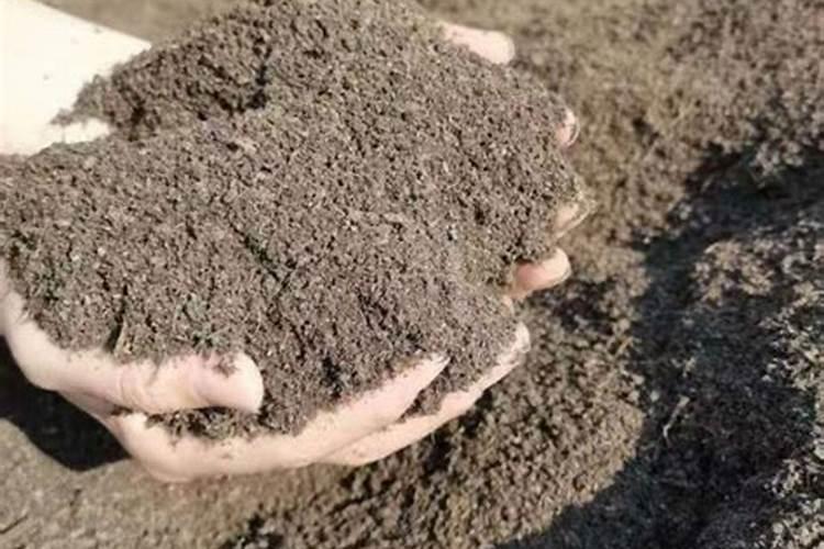 用秸秆发酵剂发酵过的秸秆都可以用来干什么