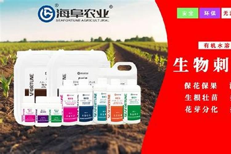 玉米控旺什么时候最好 过早过晚有什么危害