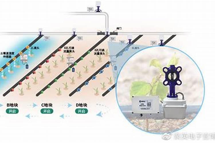 钾肥兑水可以灌溉吗？