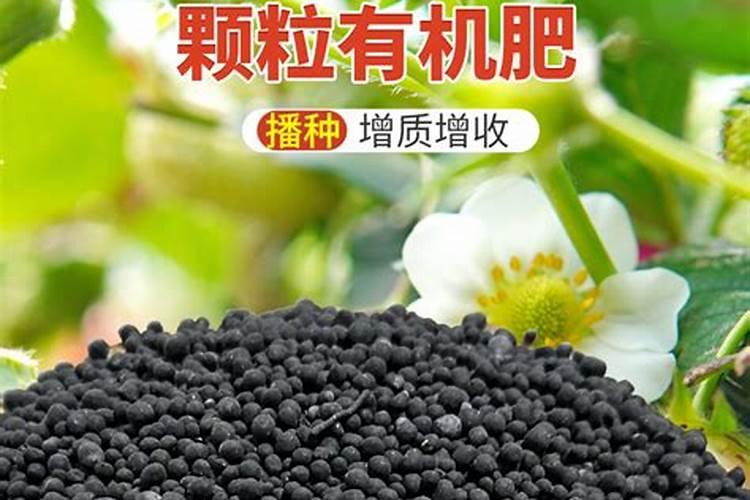 菌肥颗粒的好还是粉末的好