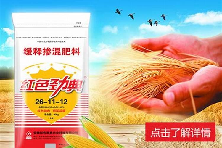 春季小麦追肥用什么肥料好