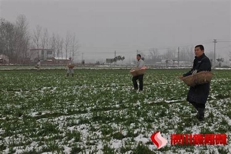 卵生又分为身体分节和什么动物