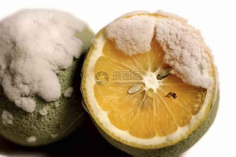 油菜叶面施肥时间及方法花卉百科
