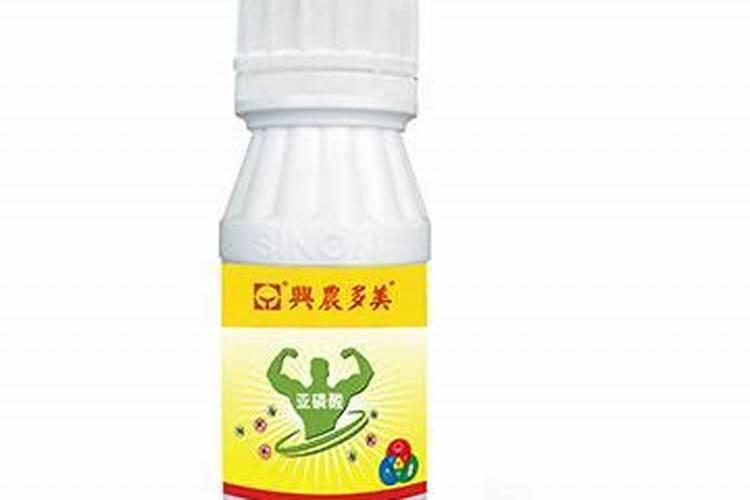 磷酸二酯酶