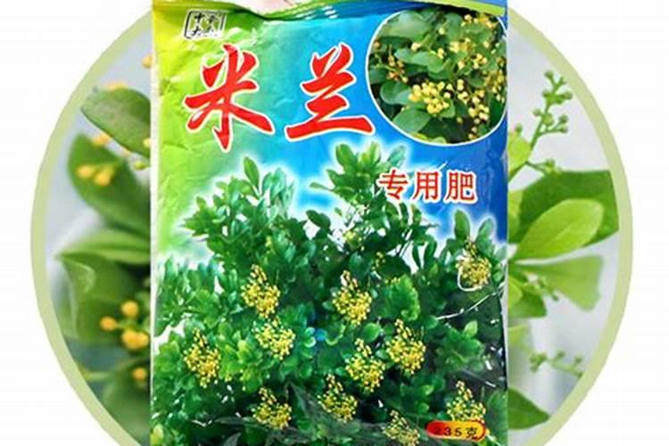 米兰花专用肥可用于双色茉莉花吗