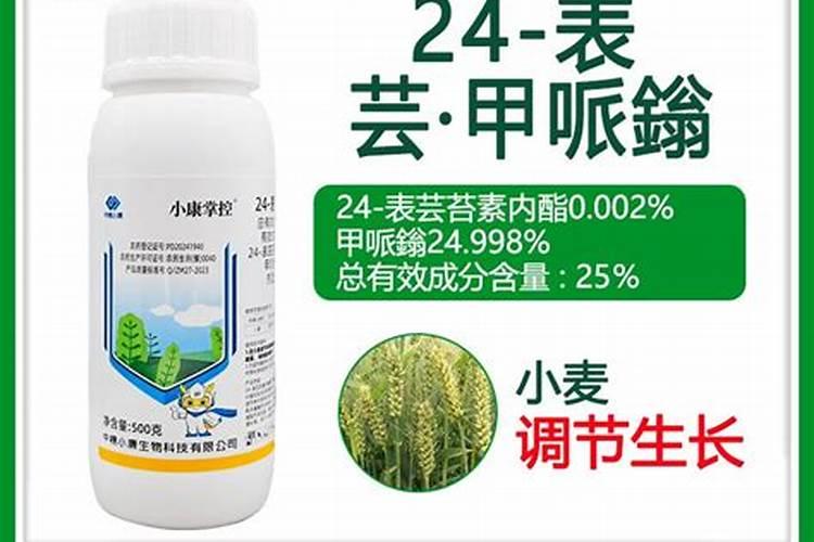 大棚桃树幼果期桃多大可以浇水