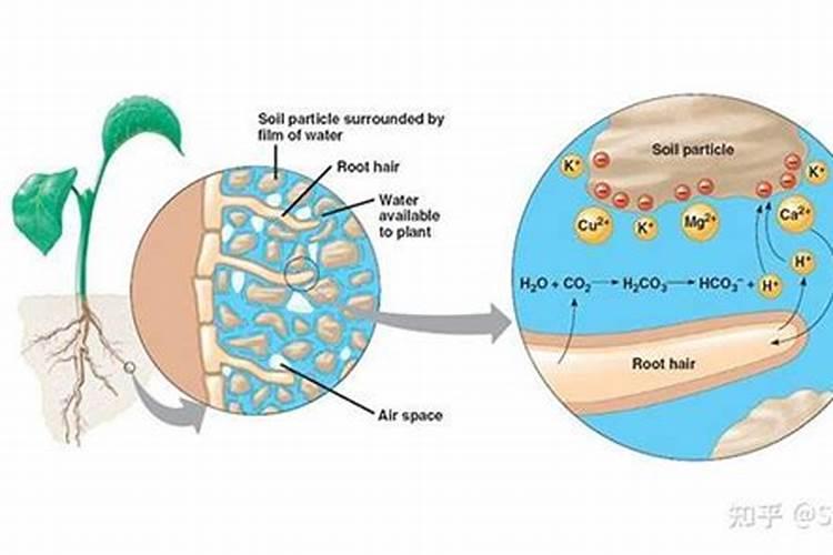 空调滴下的水能不能用来给花浇水？