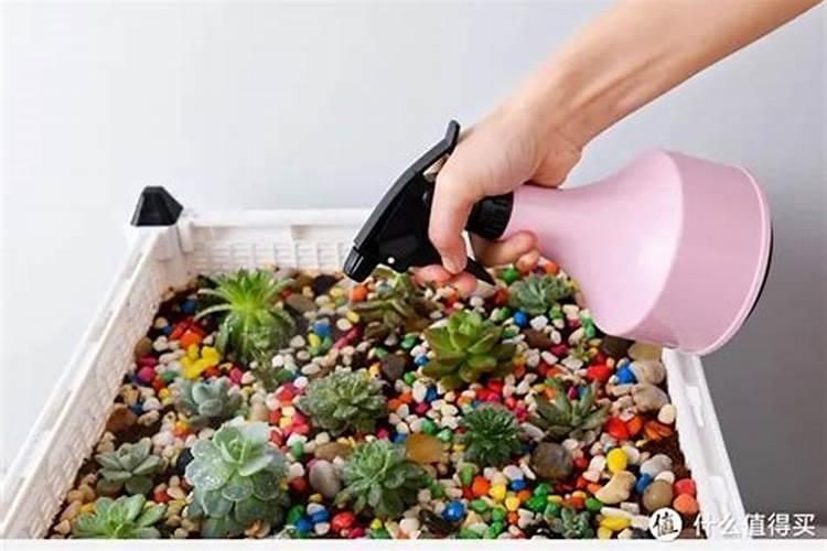 家中的哪些废弃物埋在花盆中发酵后可以当做肥料使用？