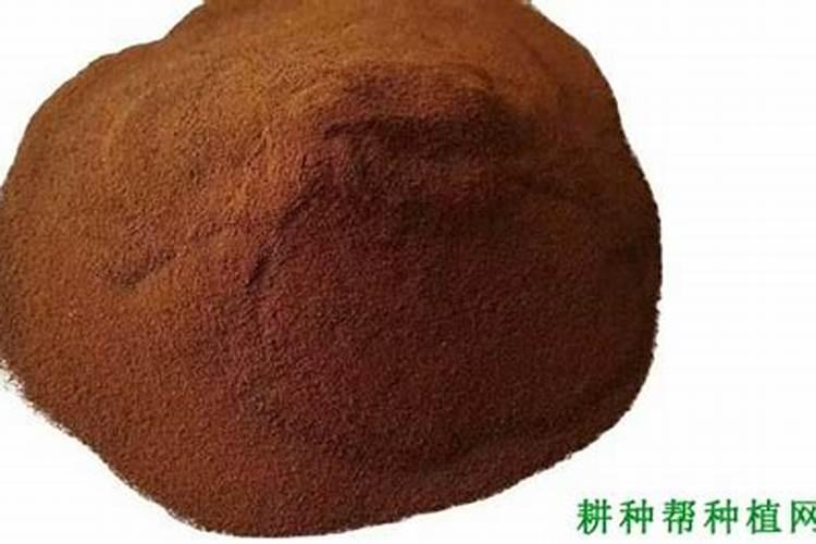 发财树多久浇肥一次 发财树每隔多久需要施肥？