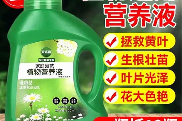 养花买什么肥料最好、绿植用营养液好还是肥料好