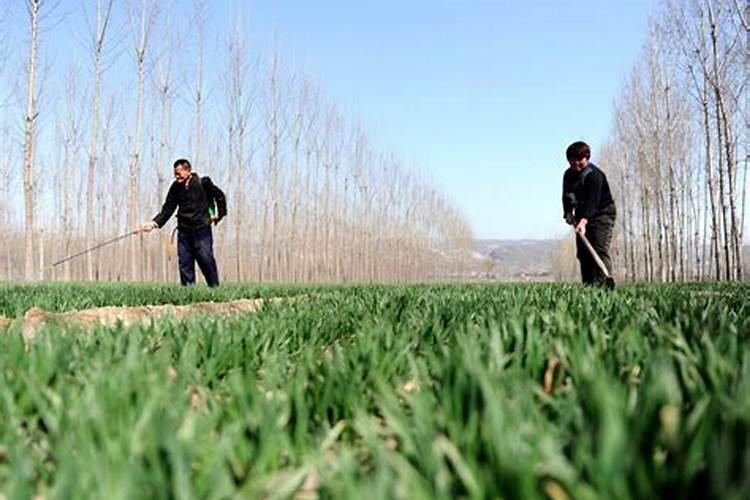 创新方法液体肥销售创新模式:工厂店