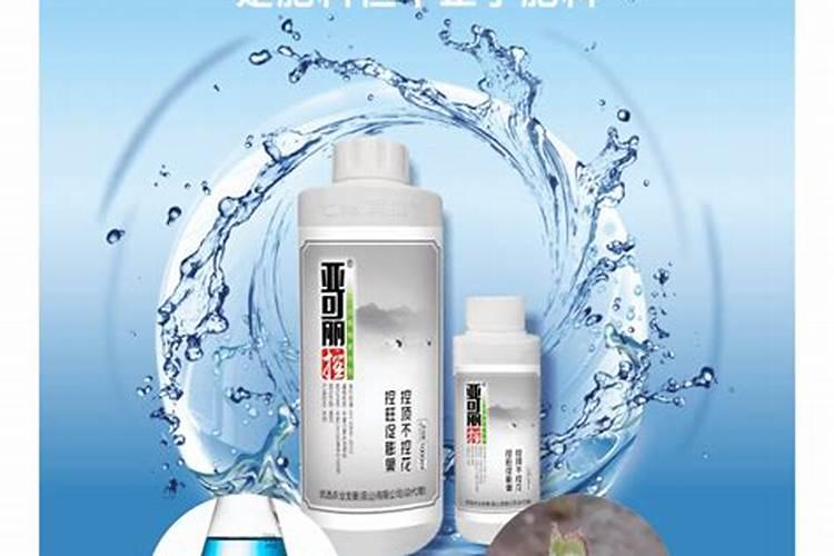 金点猫是什么品种