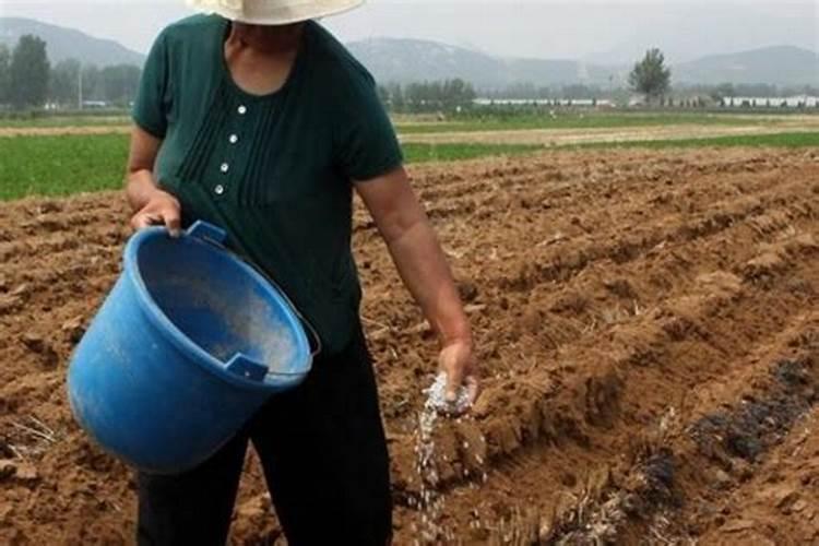 常用的肥料使用方法