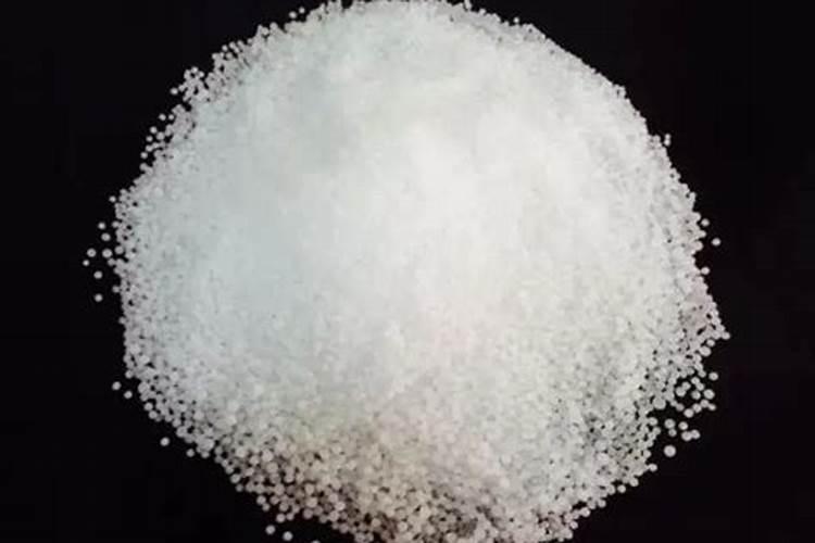 在植物种子培养中,技术人员为什么喜欢用幼嫩的根芽叶来做培养组织材料...