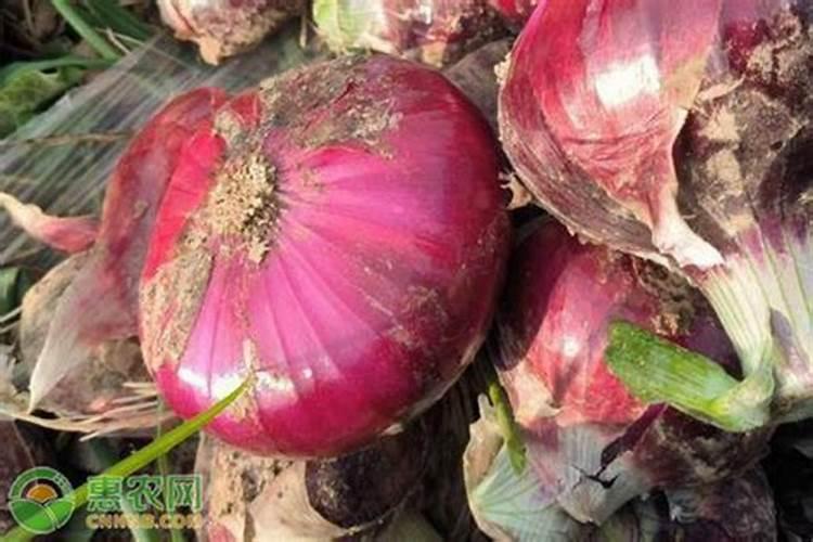 中国知名叶面肥生产厂家有哪些,那家做的比较好？