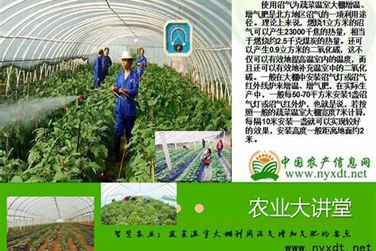 黄瓜施啥水溶肥？作用及用法