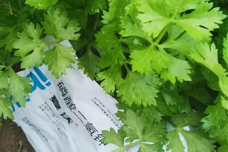 旺康控股集团有限公司靠谱吗