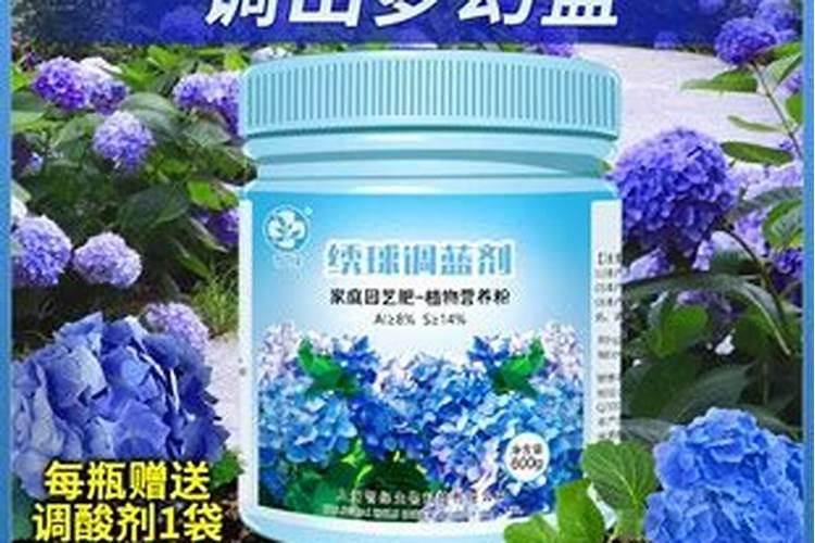绣球花施什么肥