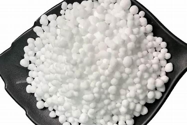 果树全年用什么肥料最好