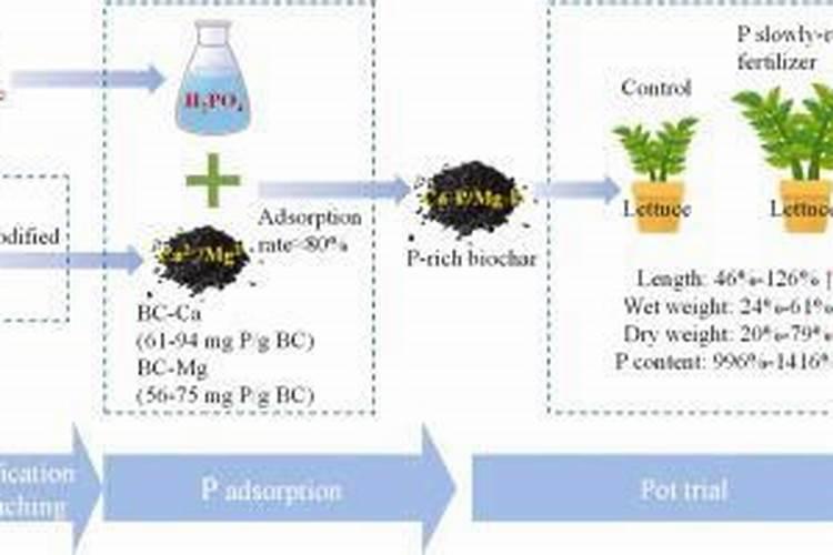 【 青金桔泡水喝的功效】泡水好处益处大众养生网