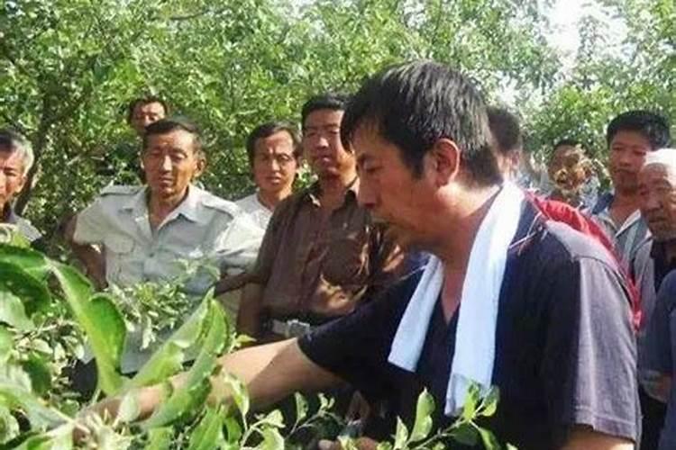 中国十大最好水溶肥