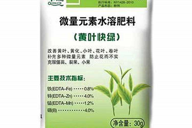 桂花树早春施肥方法