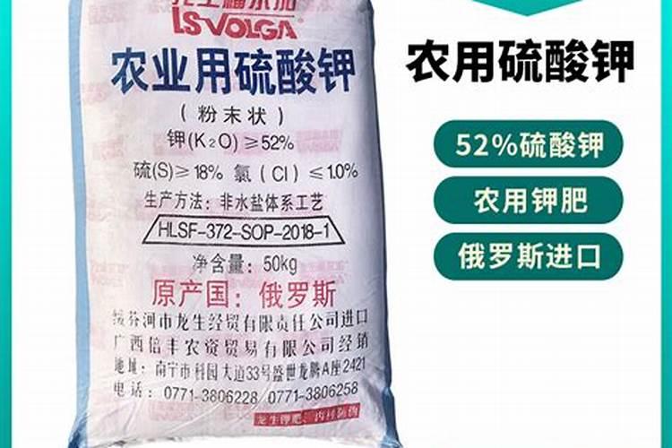 三角梅开花期间能施肥吗？