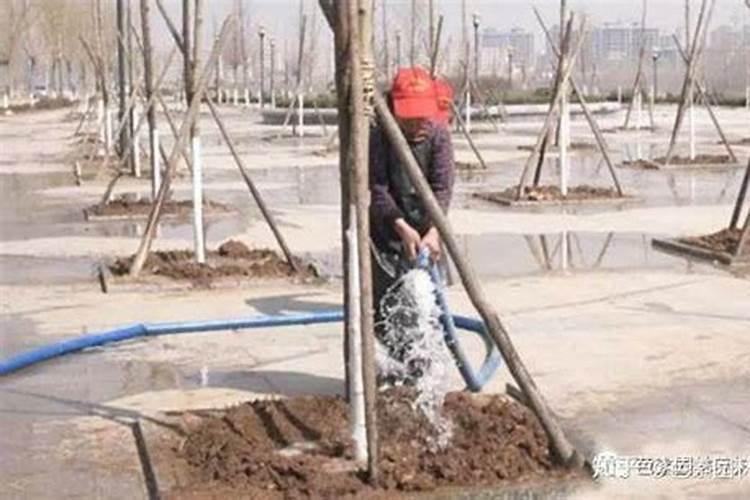 浇封冻水有什么讲究？