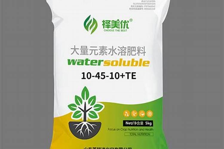 竹荪菌的药用价值