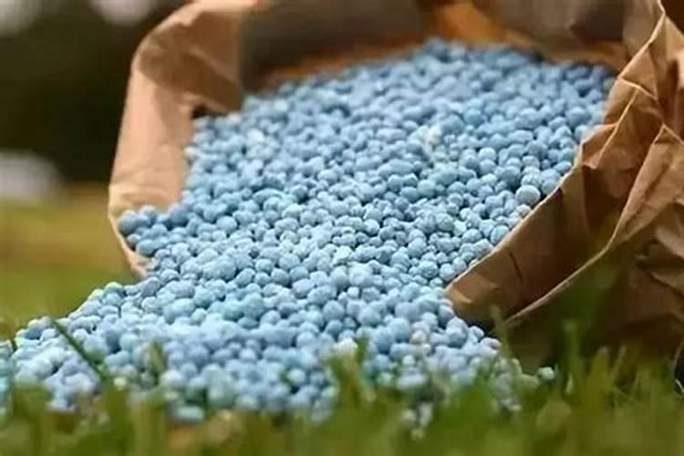 硝基肥与普通肥有什么不同？