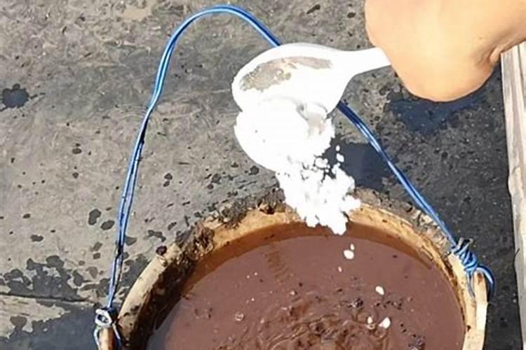 海藻肥是否有驱鸟效果