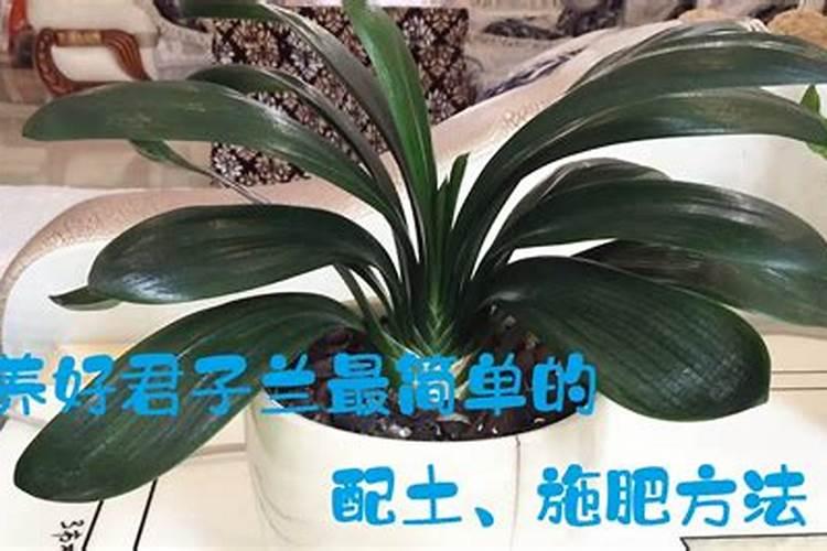 区分氮肥、磷肥、钾肥的方法有 ①看外观.氮肥、钾肥都是白色晶体;磷肥...