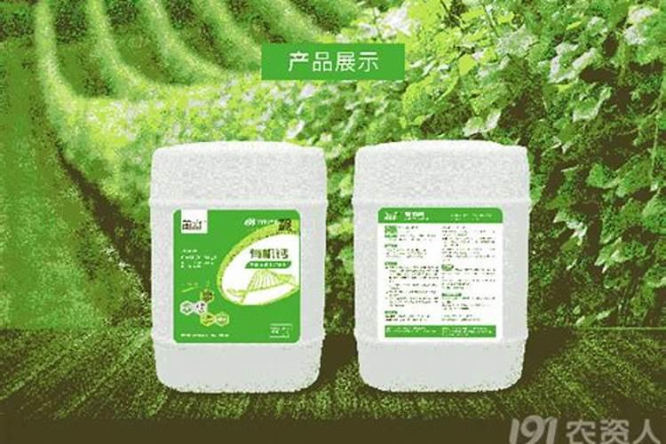 手表的溶剂是什么意思啊