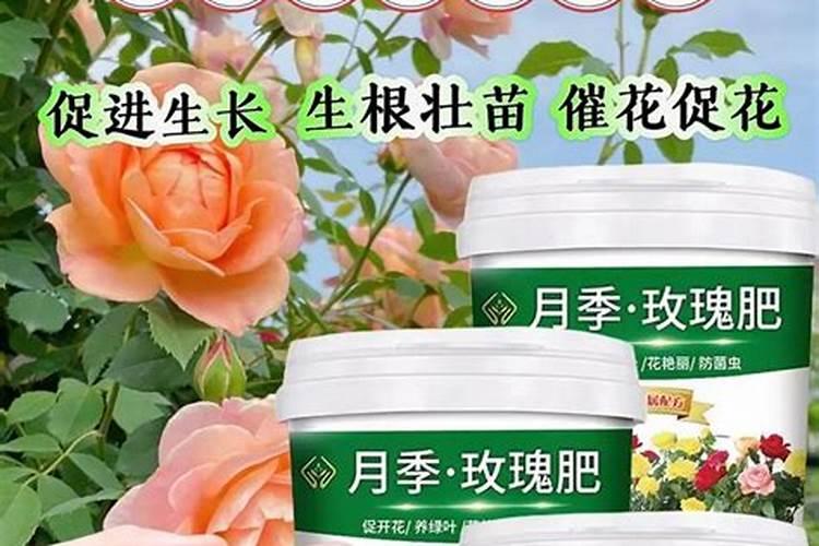 桃树清园一般用什么农药