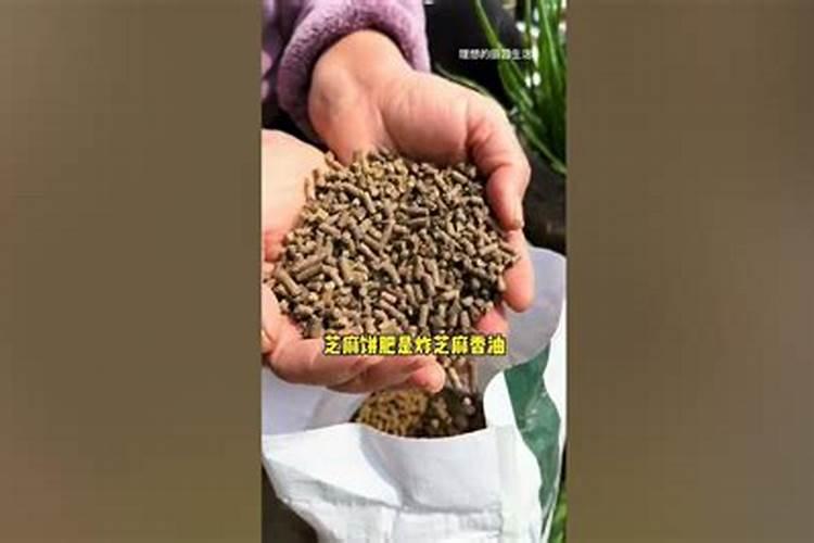 艺麻饼能作大葱底肥吗