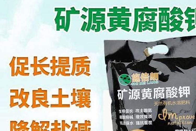 耐涝又好成活的农作物