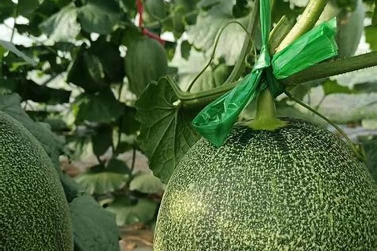 宁国农药企业有哪些