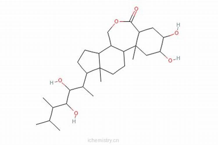 柿子树叶发黄掉果子阿司匹林粉能喷不？
