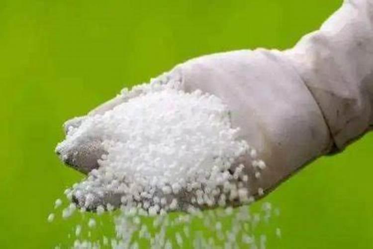 鑫巴洛克通用型的含量为什么降了