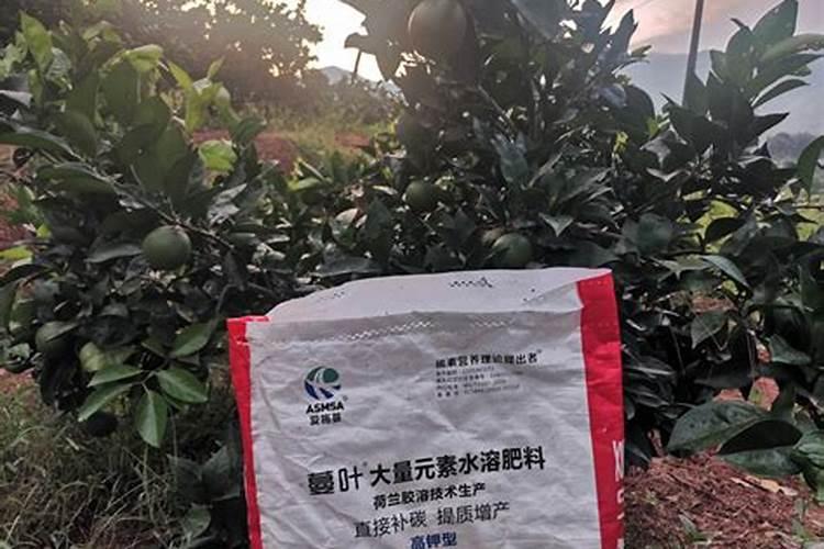 臭麻子和串金花是同一种植物吗串金华和臭马子是同一种植物吗‘？