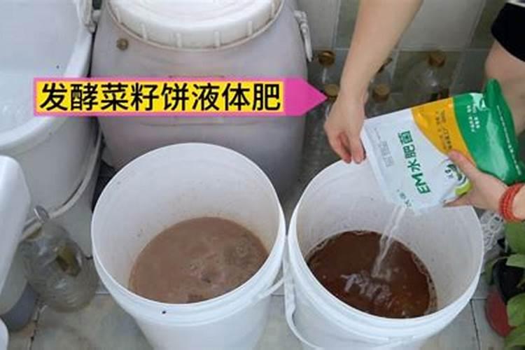 菜籽饼怎么发酵肥水