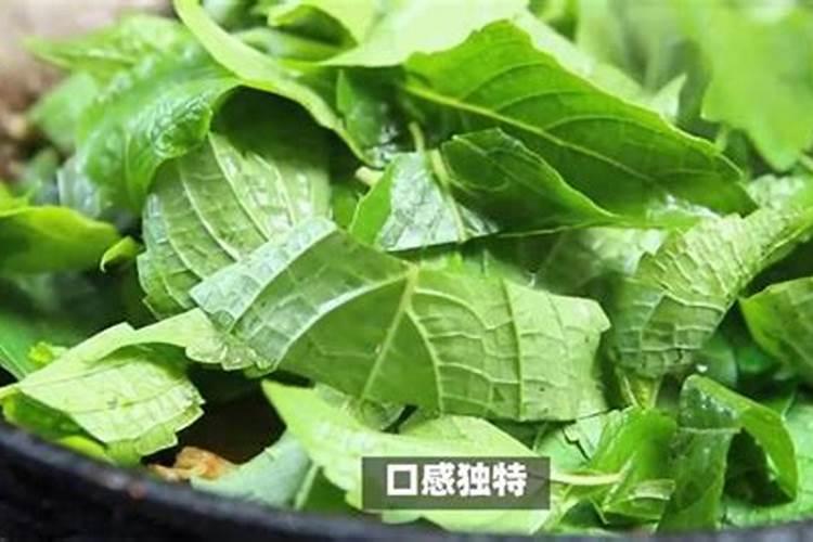 百合科植物用什么除草剂？