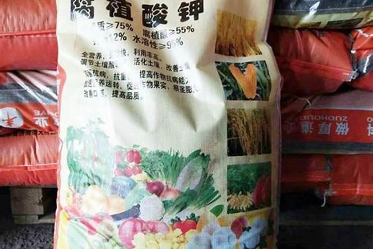 种植稻米的各个阶段,该如何掌控水肥？