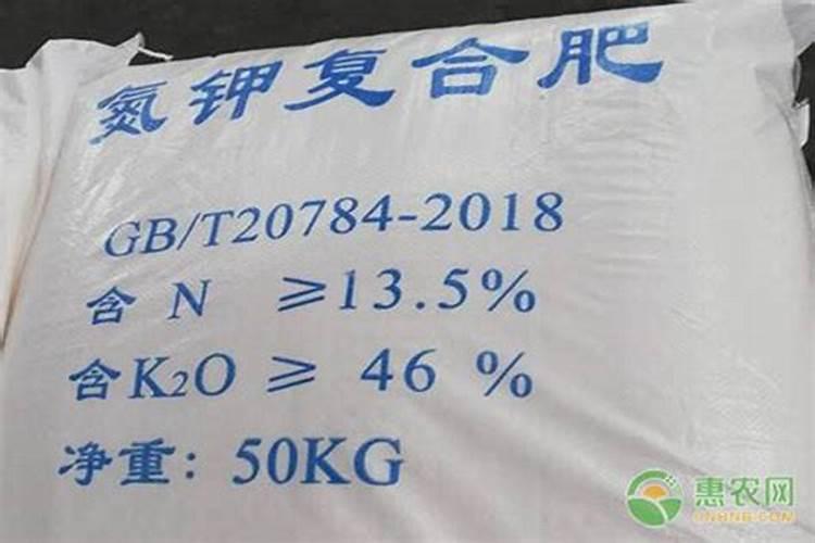 乌贼骨各家论述