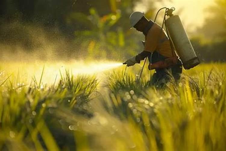 多菌灵是碱性还是酸性能与叶面肥混用吗？